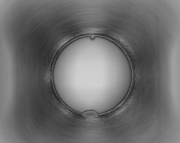 X0000110741073200906290943