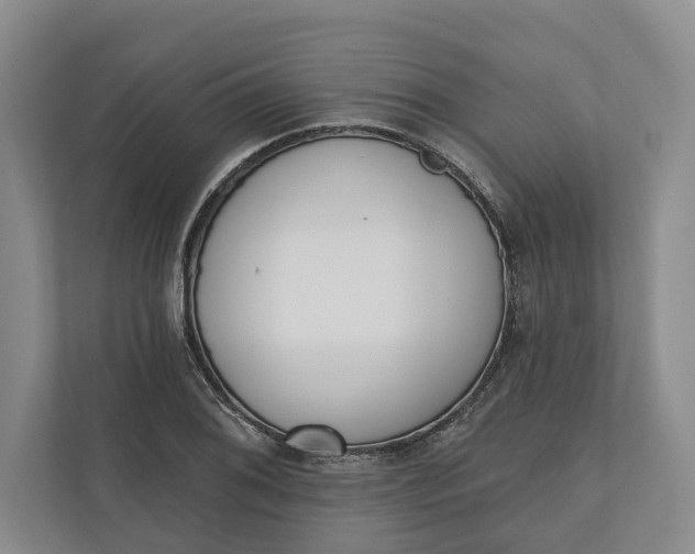 X0000110741076200906290943