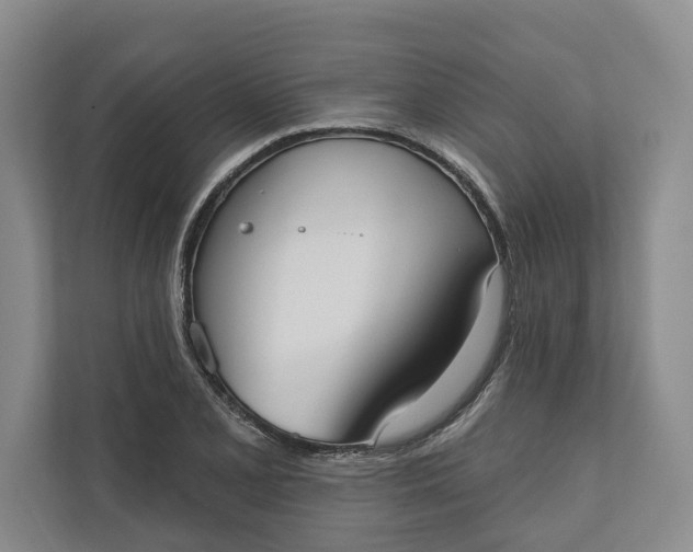 X0000110741077200906290943