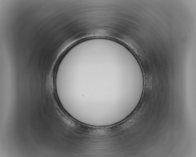 X0000110741078200906290943