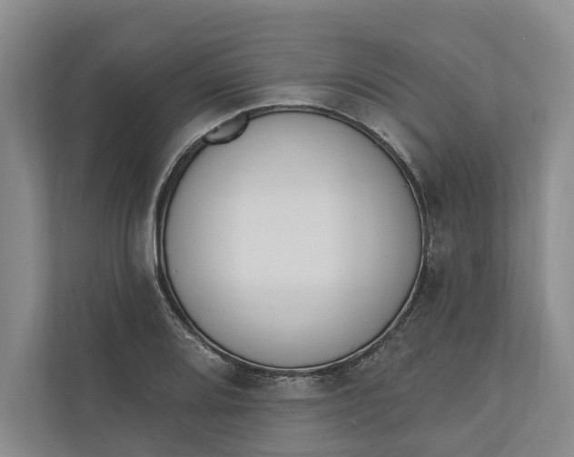 X0000110741080200906290943