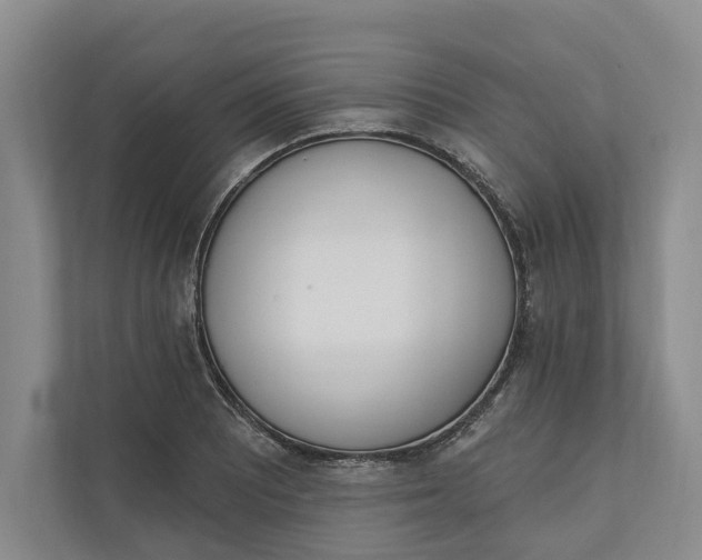 X0000110741081200906290943