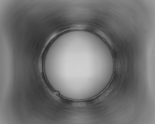 X0000110741083200906290943