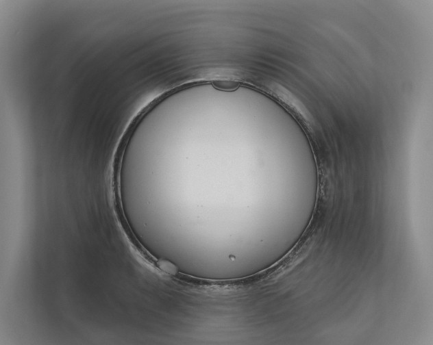 X0000110741087200906290943