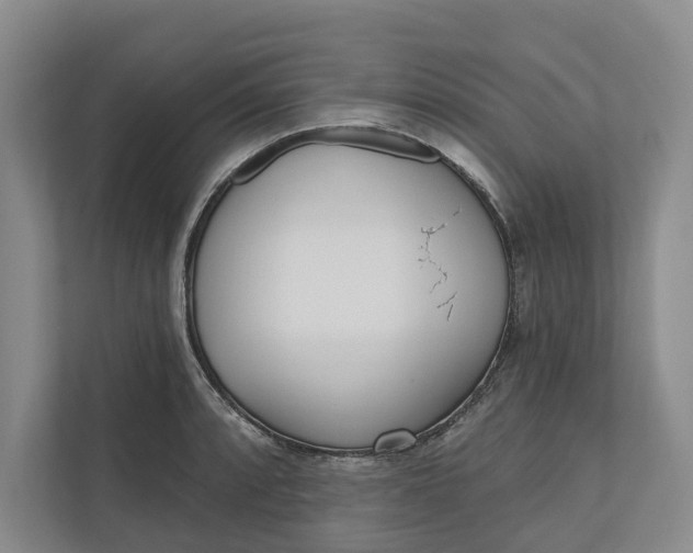 X0000110741088200906290943