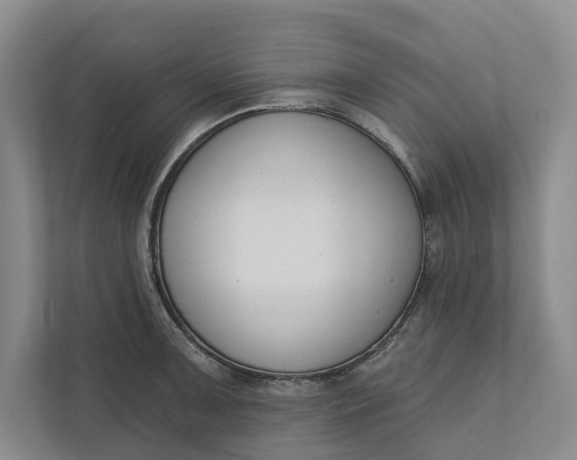 X0000110741091200906290943