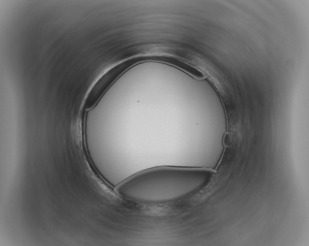 X0000110741092200906290943