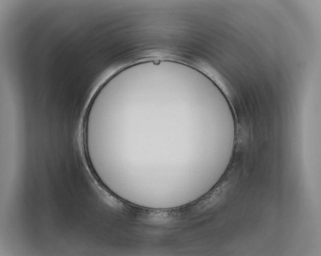 X0000110741098200906290943