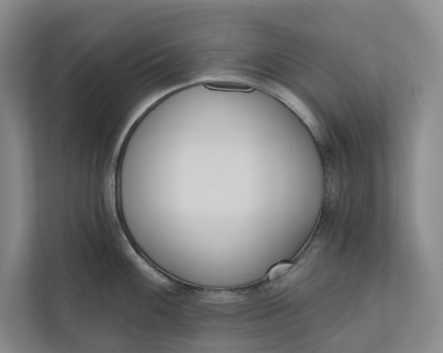 X0000110741100200906290943