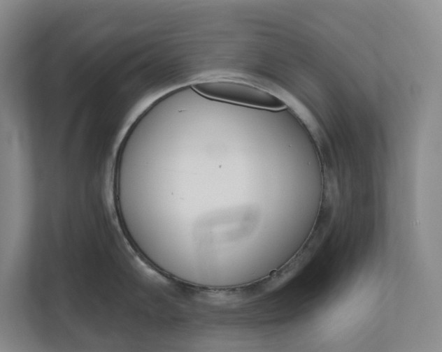X0000110741102200906290943