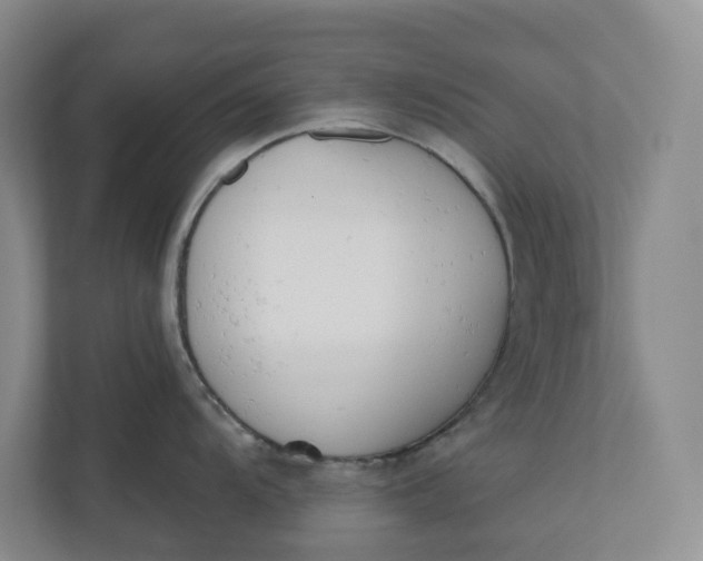 X0000110741104200906290943
