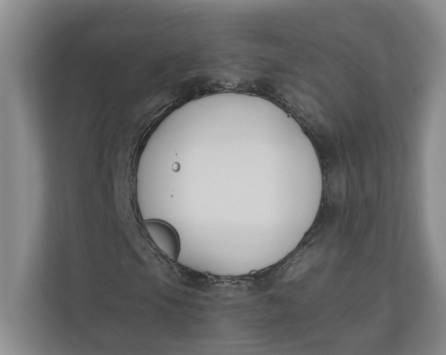 X0000110741105200906290942