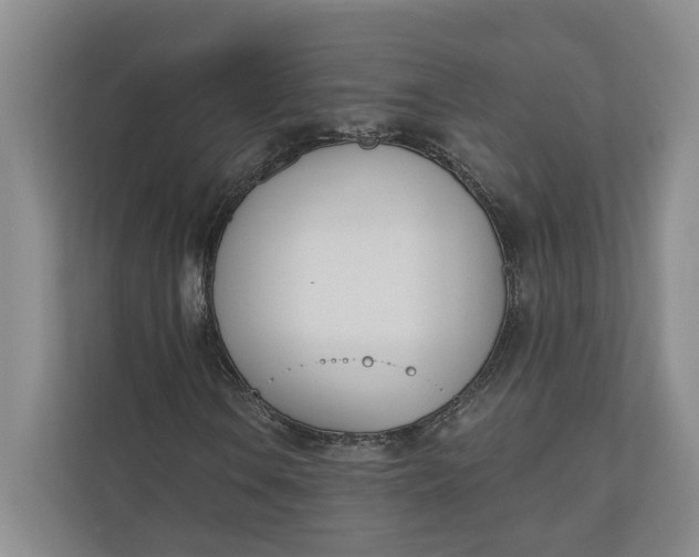 X0000110741106200906290942