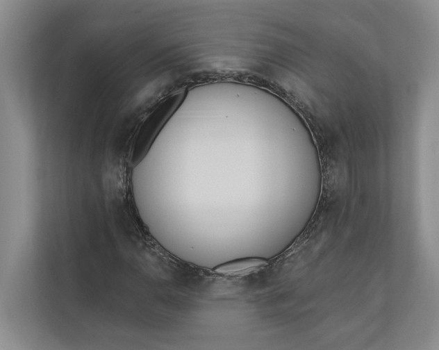 X0000110741110200906290942