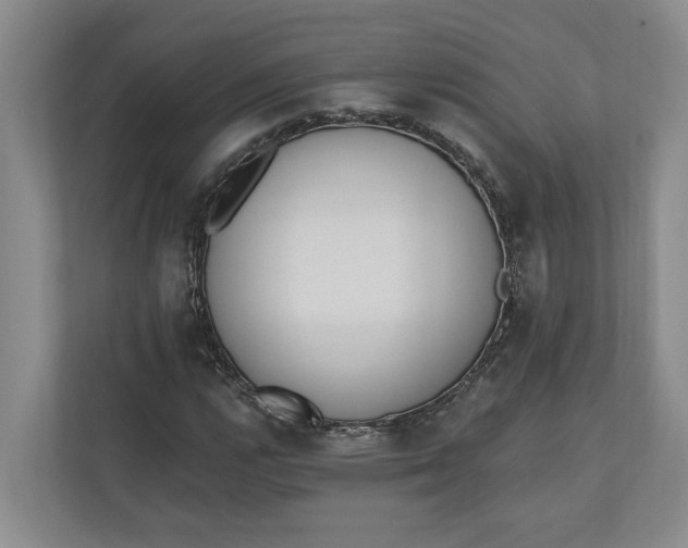 X0000110741112200906290942