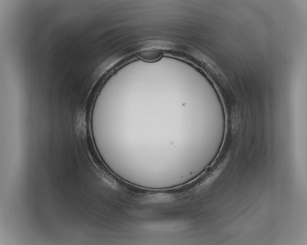 X0000110741113200906290942