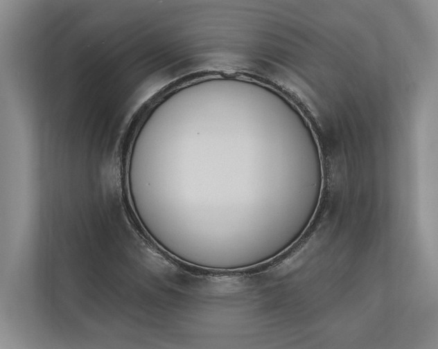 X0000110741114200906290942