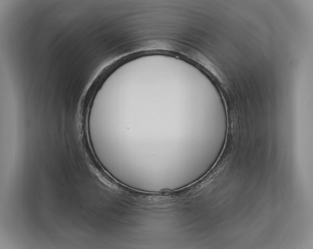 X0000110741116200906290942