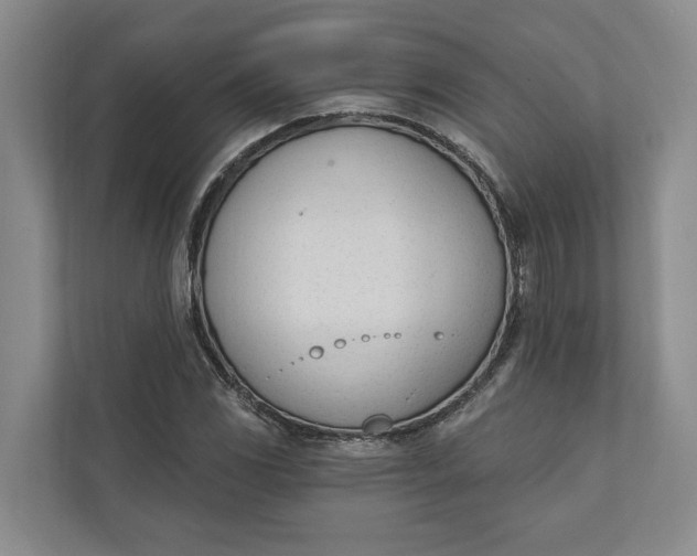 X0000110741117200906290942