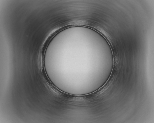 X0000110741123200906290942