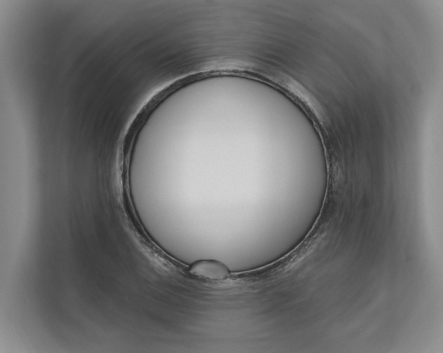 X0000110741124200906290942