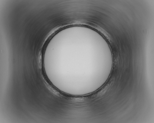 X0000110741126200906290942