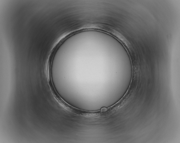 X0000110741127200906290943