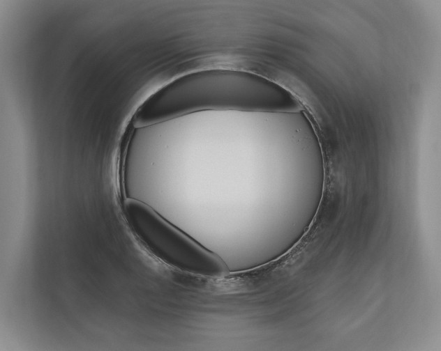 X0000110741128200906290943