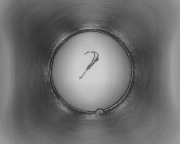 X0000110741129200906290943