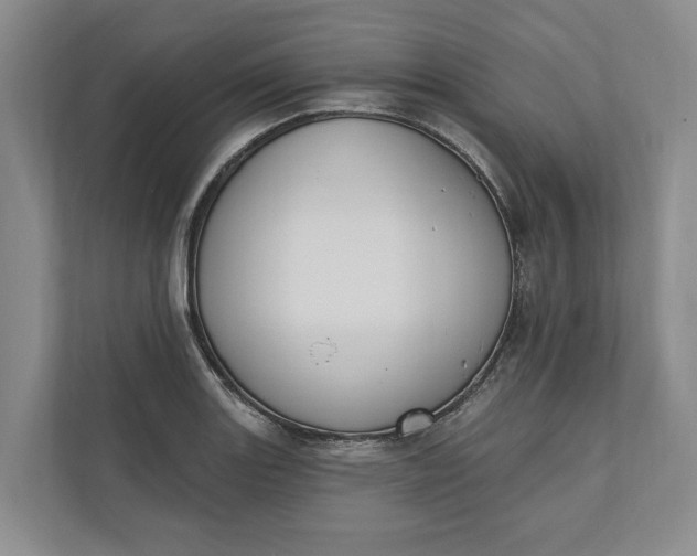 X0000110741131200906290943