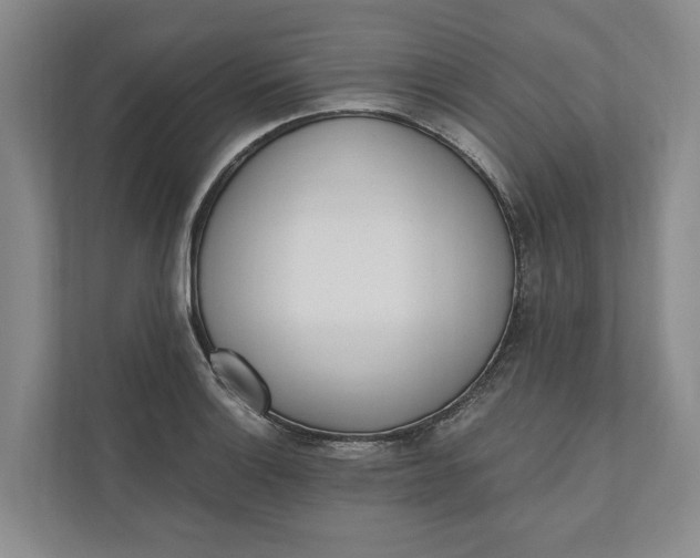 X0000110741132200906290943