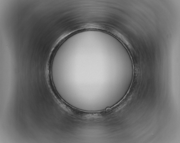 X0000110741133200906290943