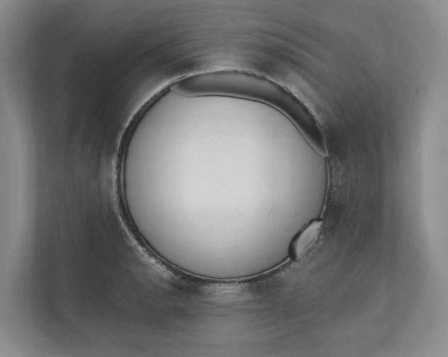X0000110741134200906290943