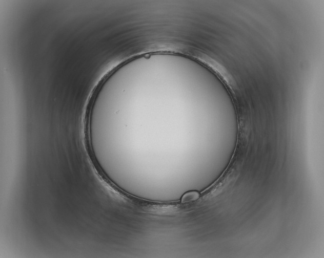 X0000110741135200906290943