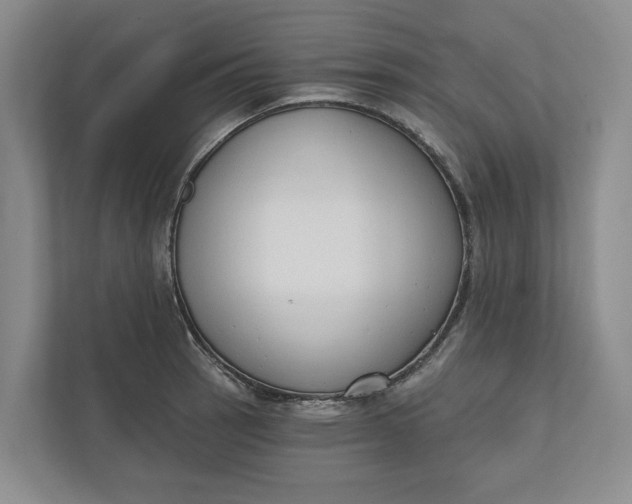 X0000110741137200906290943