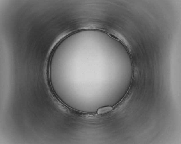 X0000110741138200906290943