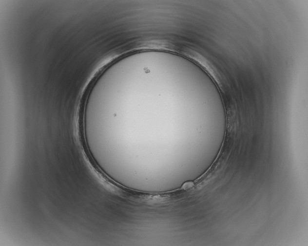 X0000110741139200906290943