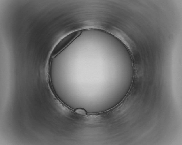 X0000110741140200906290943