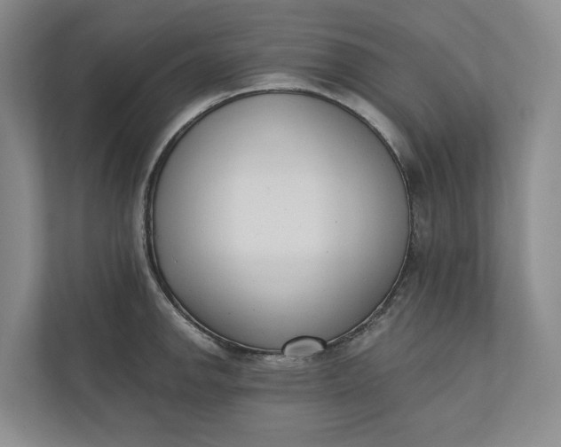 X0000110741142200906290943