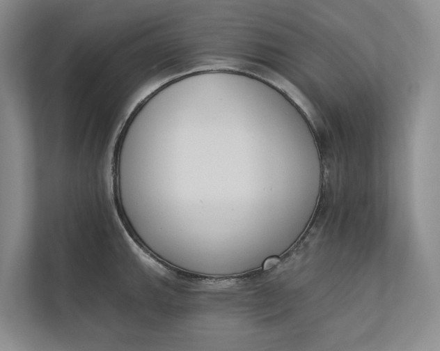 X0000110741143200906290943