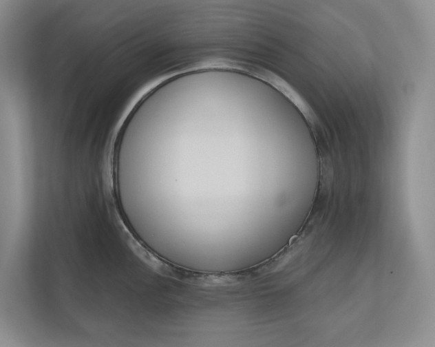 X0000110741148200906290943