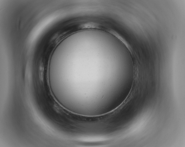 X0000110741151200906290943