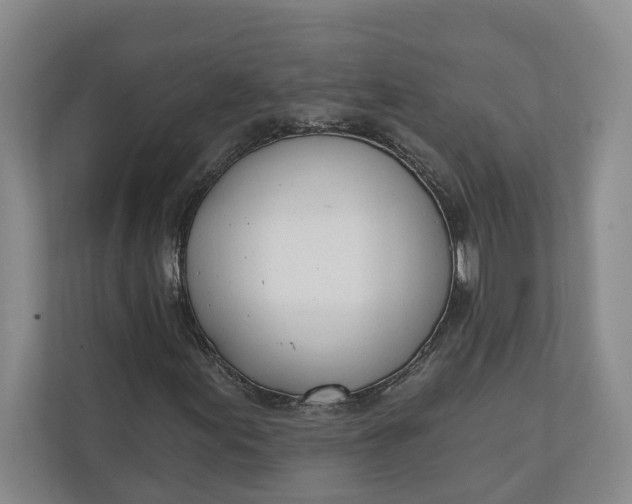 X0000110741155200906290942