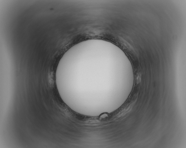 X0000110741156200906290942