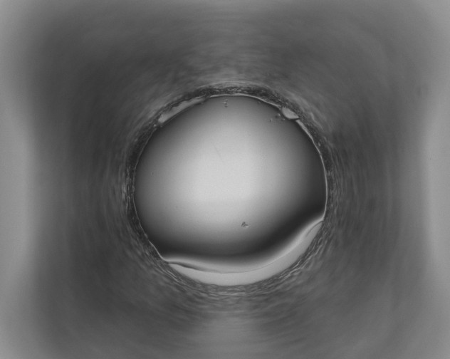 X0000110741157200906290942