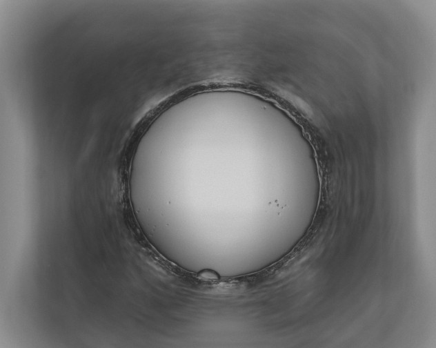 X0000110741160200906290942