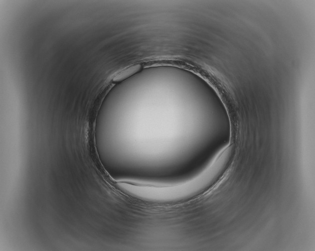 X0000110741161200906290942