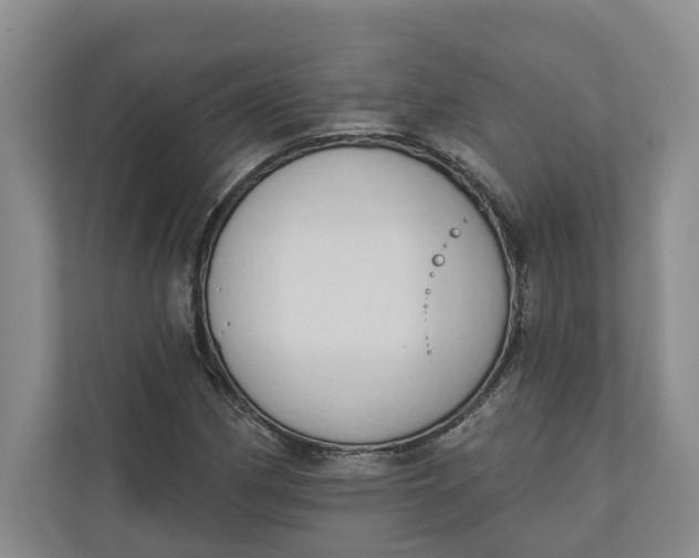 X0000110741162200906290942