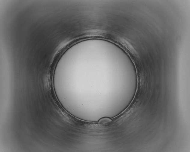 X0000110741164200906290942