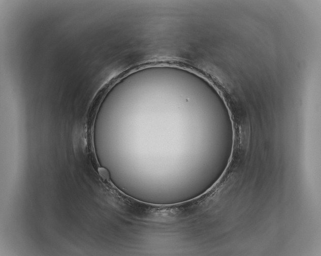 X0000110741165200906290942